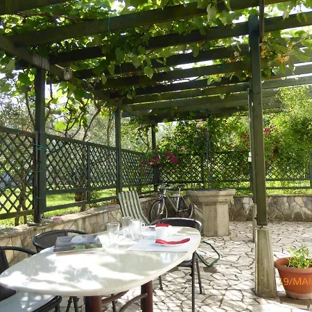 Dubasnica Apartment