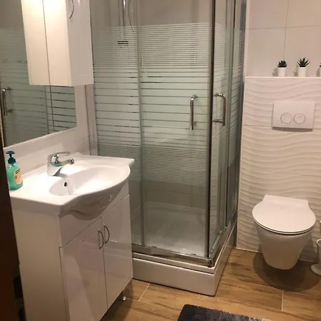 Dubasnica Apartment