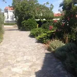 Dubasnica *