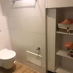 Dubasnica Apartman