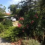 Dubasnica *